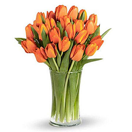 Phoenix & Ashes quiz Orange-tulip-collection_1